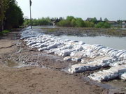 2006